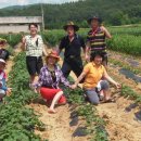 동산 농장 이미지