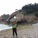 호권 Daum카페