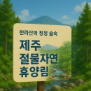 제주 절물자연휴양림 현황, 예약, 기본정보, FAQ