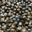 문관농장 이미지