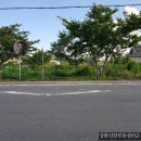 강화전원공인중개사사무소 이미지