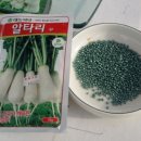 거두단지길 이미지