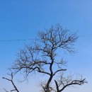 소명교회 이미지