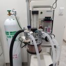 그루동물병원 이미지