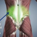 모디 (modi) 이미지