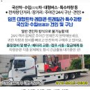 평화렉카 이미지