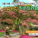 서산시, ‘관광 스냅사진 찰칵!’ 이벤트 진행(서산태안신문) 이미지