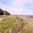 일부1리 이미지