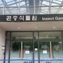 토끼의정원 | 숲 아이와 가볼만한곳 | 사슴·토끼·나비정원·꿀벌정원 총정리 방문후기+5월 포켓몬 시크릿 포레스트까지