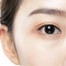 하이블리