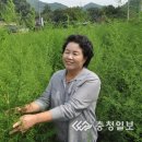 효자로 이미지