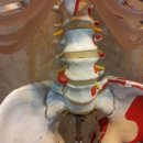 자연생한의원 이미지