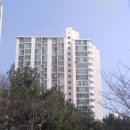 수원-1282 Daum카페