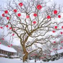 초읍동-07 이미지