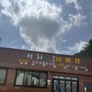 윤농장 | 용인 아이와가볼만한곳 주말농장 서리숲 후기 추천