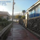 서귀동-5 이미지