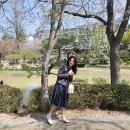 극락둑길 | [🚗국내여행] 당일치기 경주 벚꽃 여행