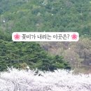 보령-주산-1 이미지