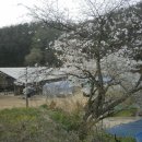 안터사슴농장 이미지