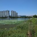 호수공원 이미지