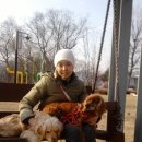 양평가축병원 이미지