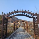 중앙공원(2) Daum카페