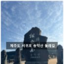 구름산책길 | 제주도 대정 송악산 둘레길 산책 후기