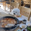 명가식당 | 가평 청평 애견동반 닭갈비 맛집 명가식당 후기