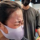 알파플로우 이미지