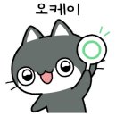 고양이미용 캣어스 이미지