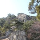 남산농원 이미지