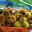 감물초등학교 병설유치원 이미지