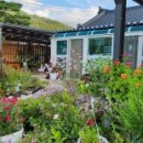 숲이좋아민박 이미지