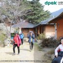 섬진다원 이미지