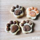 올바르개 이미지