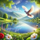 평화의안 이미지