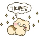 스시로지 이미지