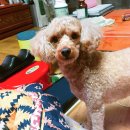 금비동물병원 이미지