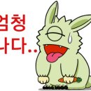 신토불이 정육식당 이미지
