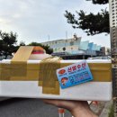 [충남 보령] 대천항 수산시장 신일수산 32호 맛집 회 포장 후기