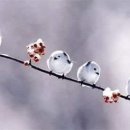 이승수농장 이미지