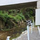 몬스마리 이미지