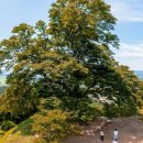 성흥로97번길 이미지