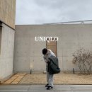 [유니클로C] 스웨트 와이드 팬츠 + 오버사이즈 풀카파 그레이 후기