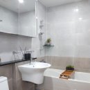 진성투토펠리체 이미지