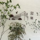 압록 | 광주 근교/곡성 카페 “압록”, 압록강뷰 내돈내산 후기, 가독단체 추천