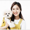 24시 송도 온 동물의료센터 이미지