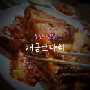 개금코다리 이미지