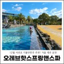 슈즈앤워시 | 12월 서귀포 가볼만한곳 추천! 겨울 제주 온천 오레브핫스프링앤스파