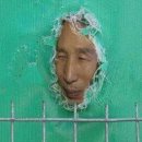 느리다